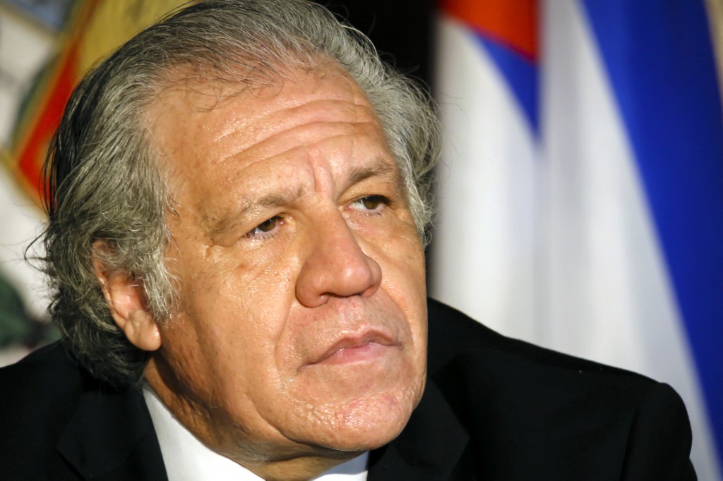 Luis Almagro prioriza defender a Neto Muyshondt antes que la vida de los salvadoreños luis-almagro-prioriza-defender-a-neto-muyshondt-antes-que-la-vida-de-los-salvadorenos